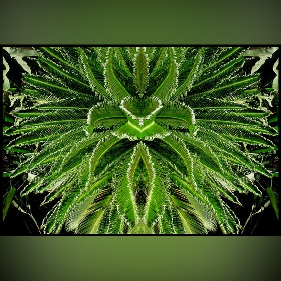 Photography wall art - Jungle Feever - Picture 2 of 2